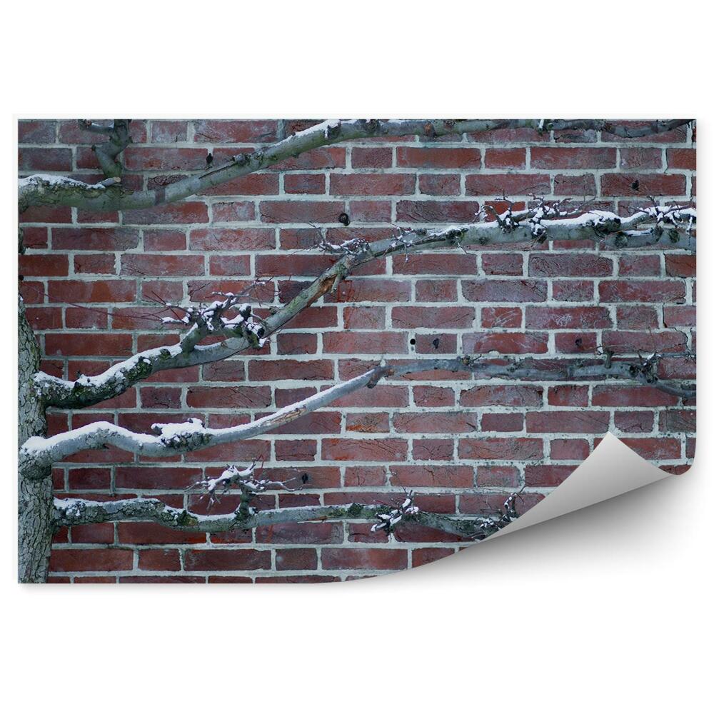Fototapeta samoprzylepna Oszronione drzewo na tle ceglanego muru