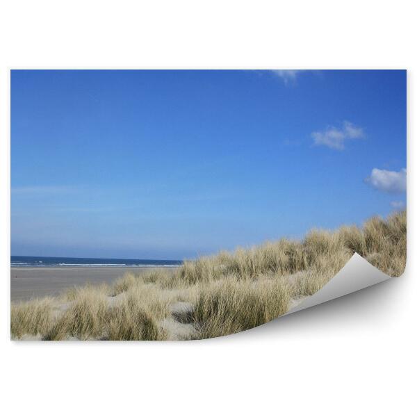 Fototapeta Ocean wydmy plaża trawa wyspa terschelling niebo chmury