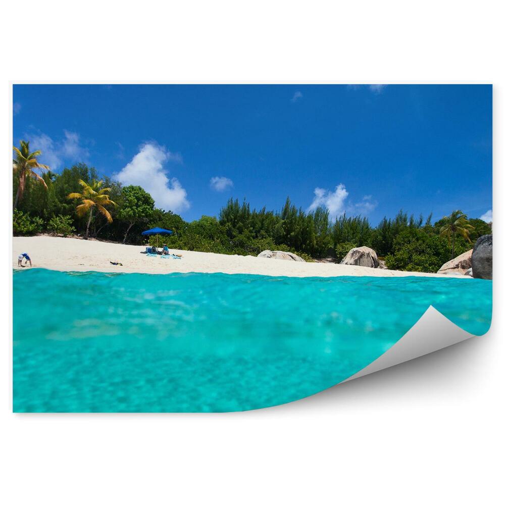 Okleina na ścianę Woda zbliżenie błękit plaża palmy