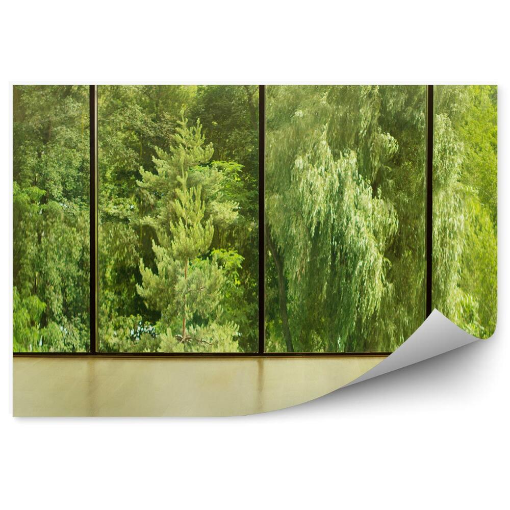 Fototapeta Drzewa choinki zielone rośliny po drugiej stronie okna