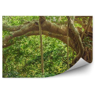 Okleina ścienna Indie dżungla drzewo liście