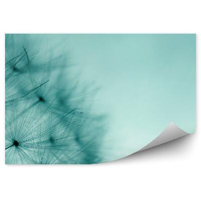 Fototapeta na ścianę Nasiona dmuchawca rośliny