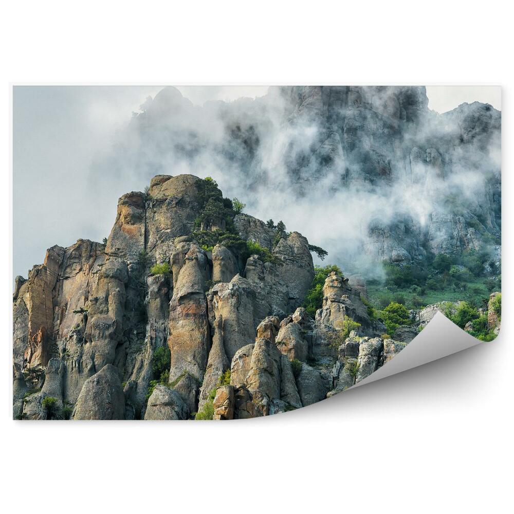 Okleina ścienna Góra demerdji skały rośliny niebo chmury mgła