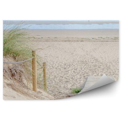 Fototapeta Pomost plaża trawy ocean niebo chmury