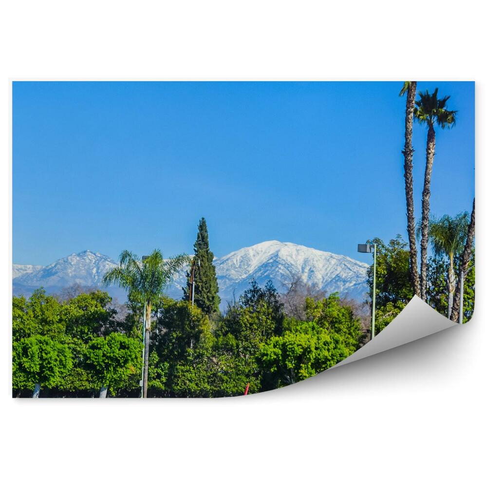 Fototapeta góry śnieg drzewa palmy niebo Los Angeles