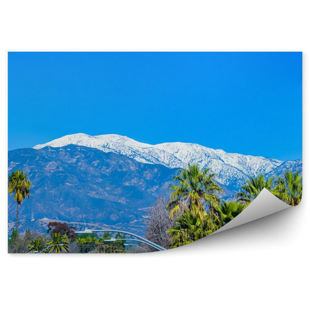 Fototapeta góry śnieg drzewa palmy niebo Los Angeles budynki droga ciężarówki