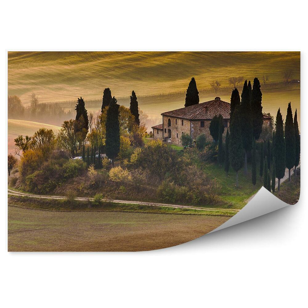 Fototapeta farma Toskania drzewa ścieżka winnica drzewa zachód słońca