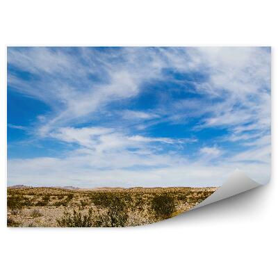 Okleina ścienna Skały rośliny niebo chmury skały