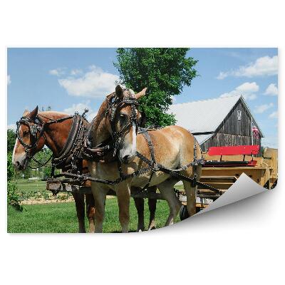 Okleina na ścianę chatka drzewa rośliny konie bryczka USA