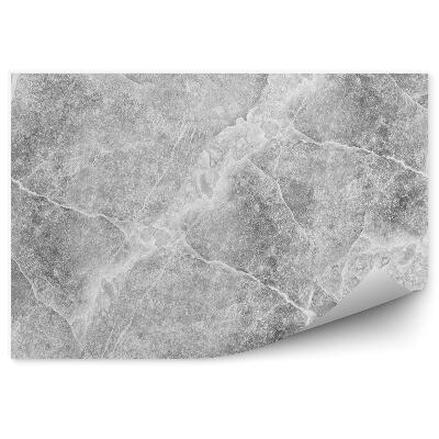 Okleina ścienna Zbliżenie na powierzchnię marmuru