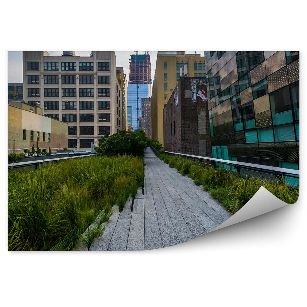 Fototapeta budynki liniowy park chodnik rośliny Nowy Jork Chelsea