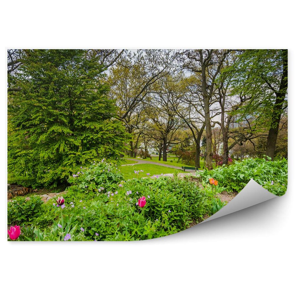 Okleina ścienna Tulipany różowe zielony park drzewa wiosna