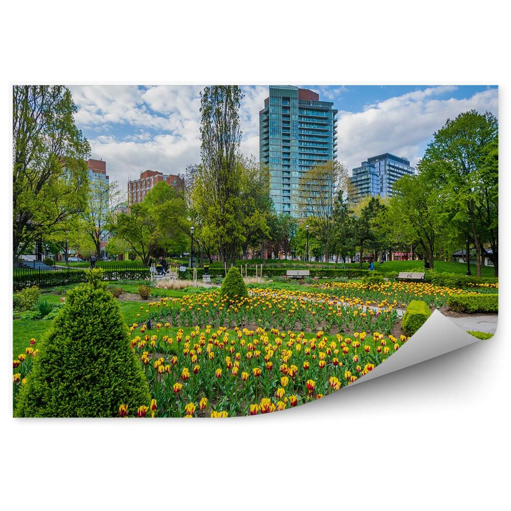 Okleina ścienna Ogród Toronto kwiaty tulipany wiosna