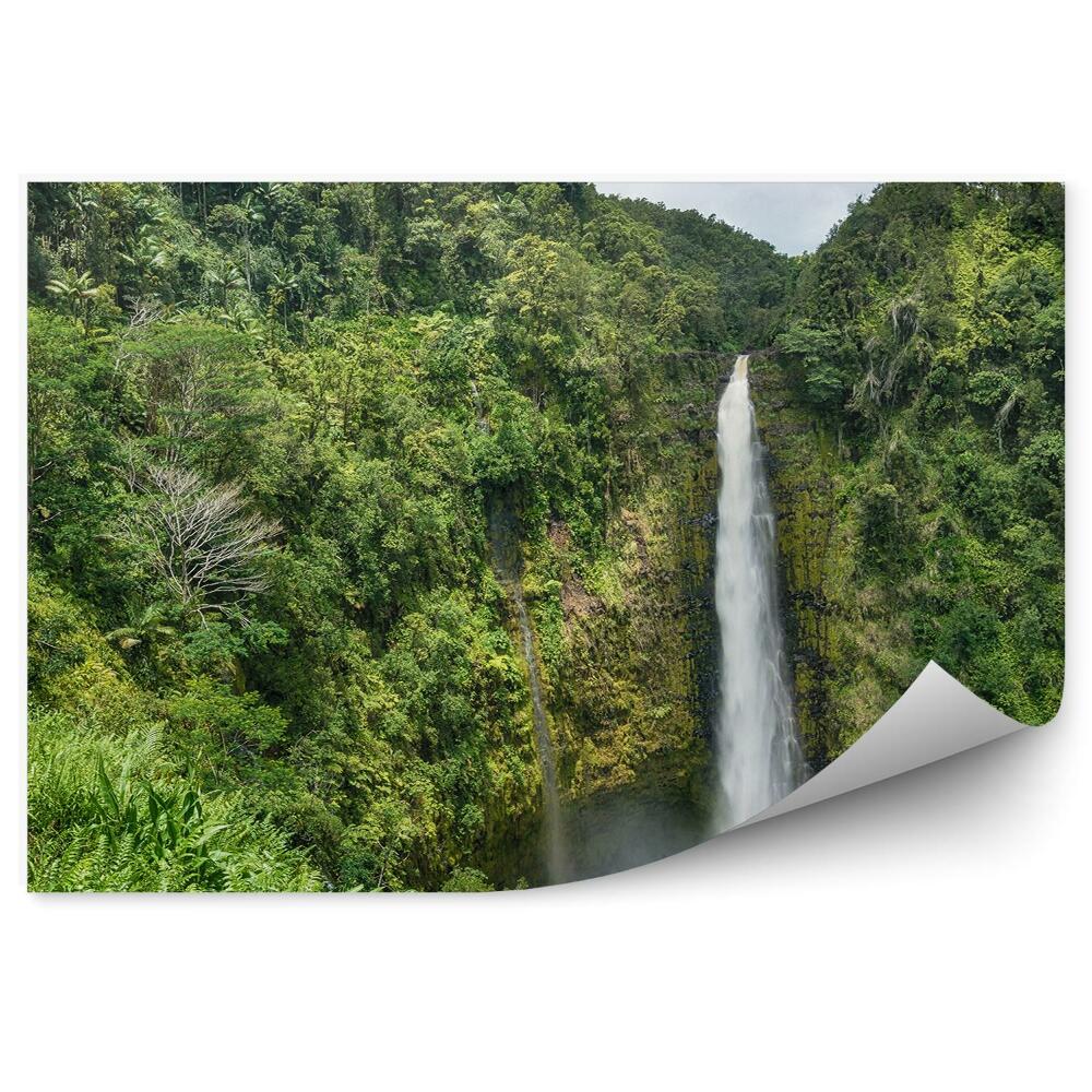 Fototapeta wodospad Hawaje dżungla tęcza niebo chmury