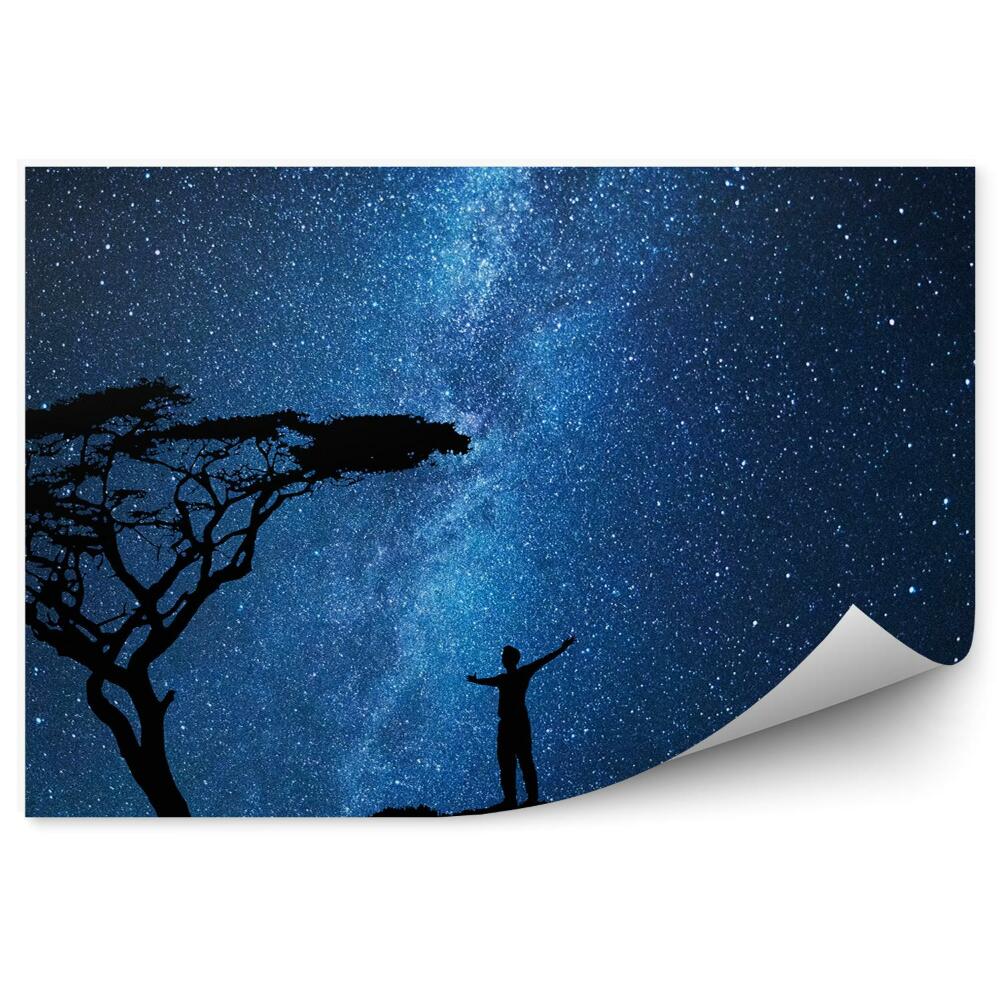 Fototapeta Człowiek sylwetka drzewo niebo gwiazdy kosmos