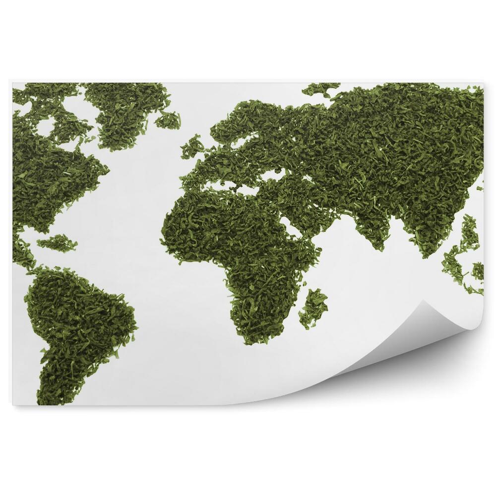 Fototapeta na ścianę Mapa świata z suszonych liści