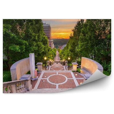 Okleina ścienna Drzewa rośliny wieżowce schody beton światła zachód słońca