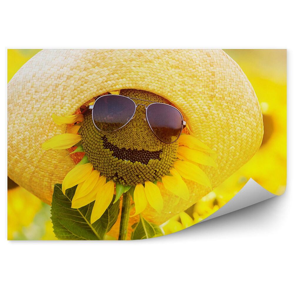 Fototapeta Śmieszny słonecznik w okularach i kapeluszu kwiaty