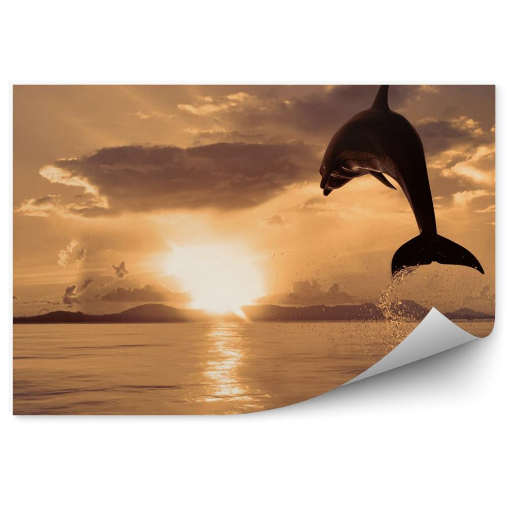 Okleina ścienna Skaczący delfin i zachód słońca
