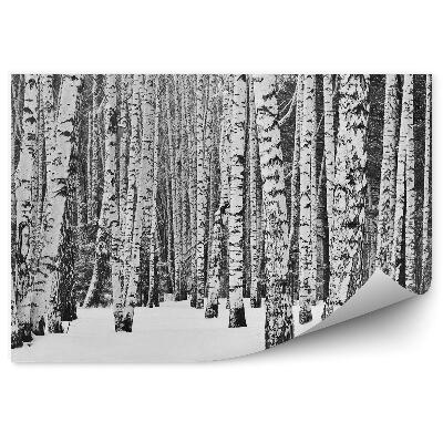 Okleina ścienna Zimowy las brzozowy śnieg drzewa