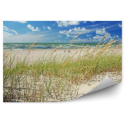 Fototapeta Plaża wydmy trawa ocean niebo chmury ventspils łotwa