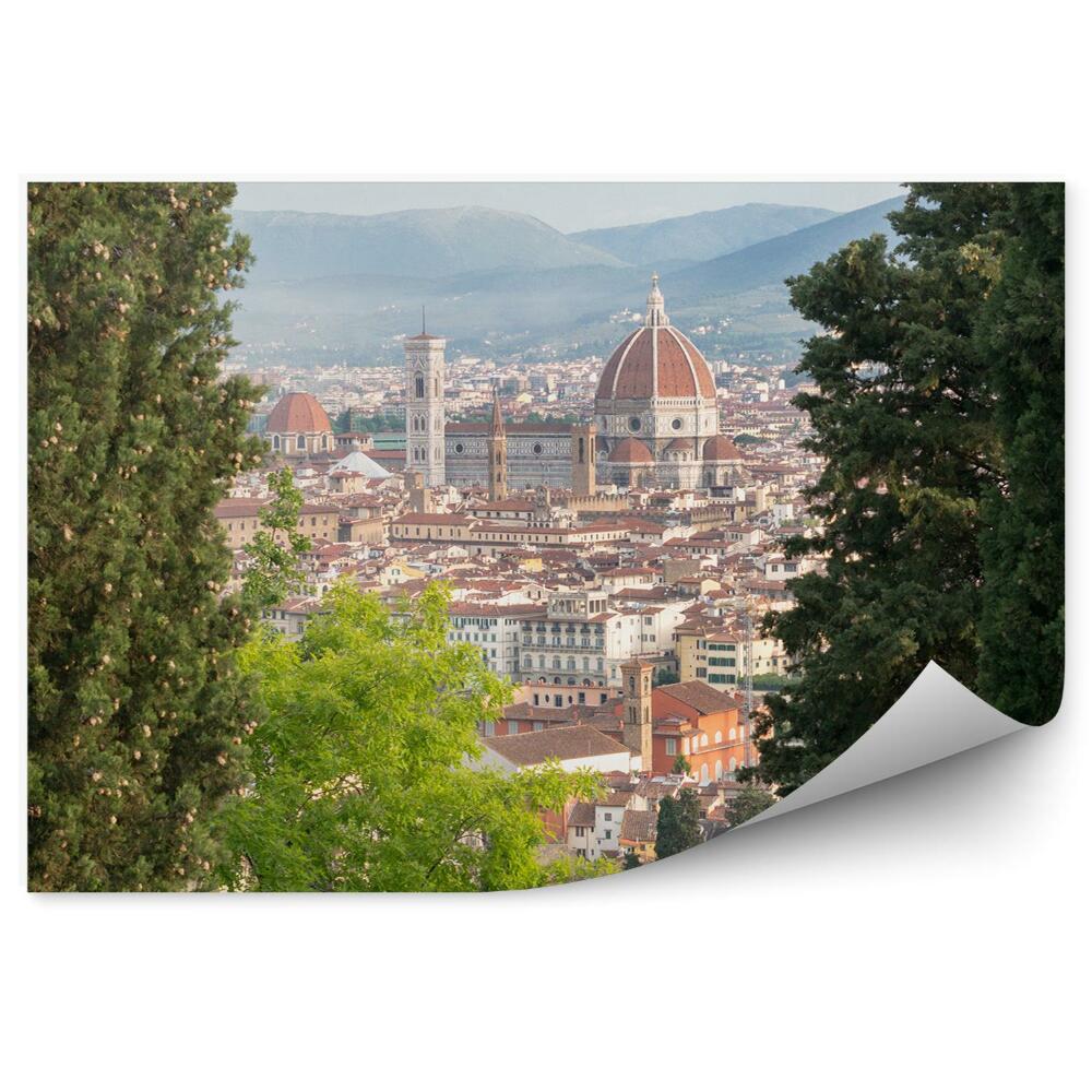 Fototapeta na ścianę widok z lotu ptaka Florencja katedra Santa Maria del Fiore budynki drzewa