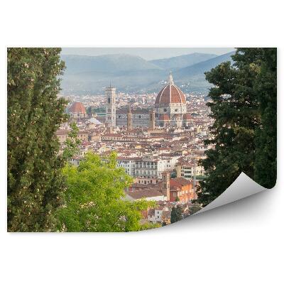 Fototapeta na ścianę widok z lotu ptaka Florencja katedra Santa Maria del Fiore budynki drzewa