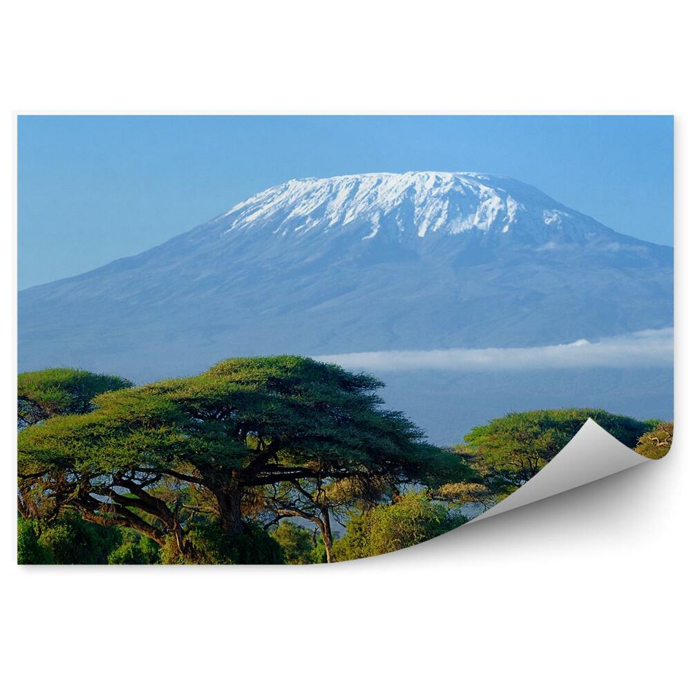 Fototapeta Kilimandżaro góra afryka drzewa rośliny trawa sawanna chmury niebo