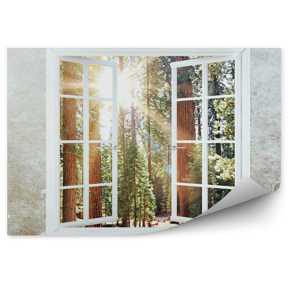 Fototapeta Ściana okno widok las słońce