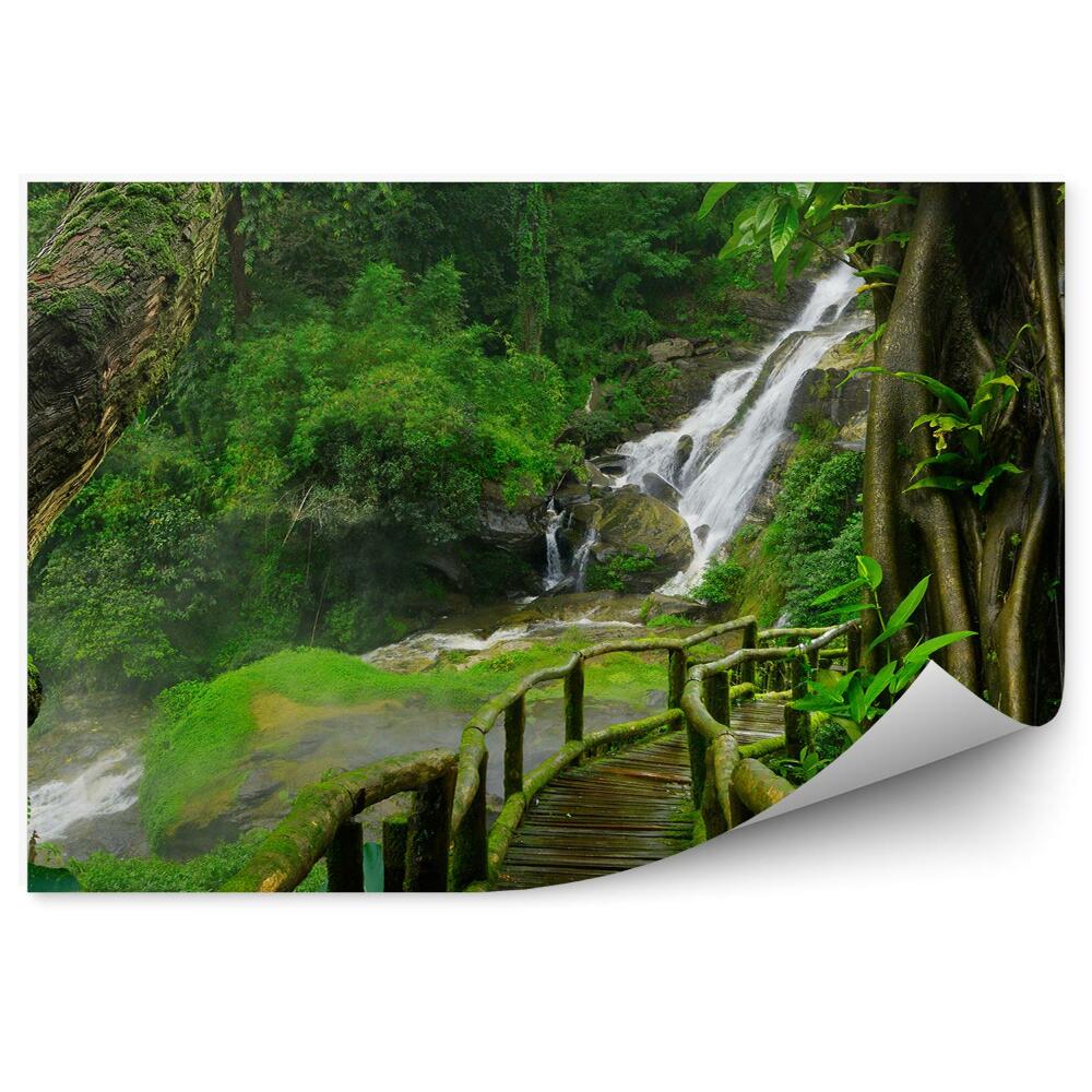 Okleina ścienna Tajlandia wodospad most mech rośliny