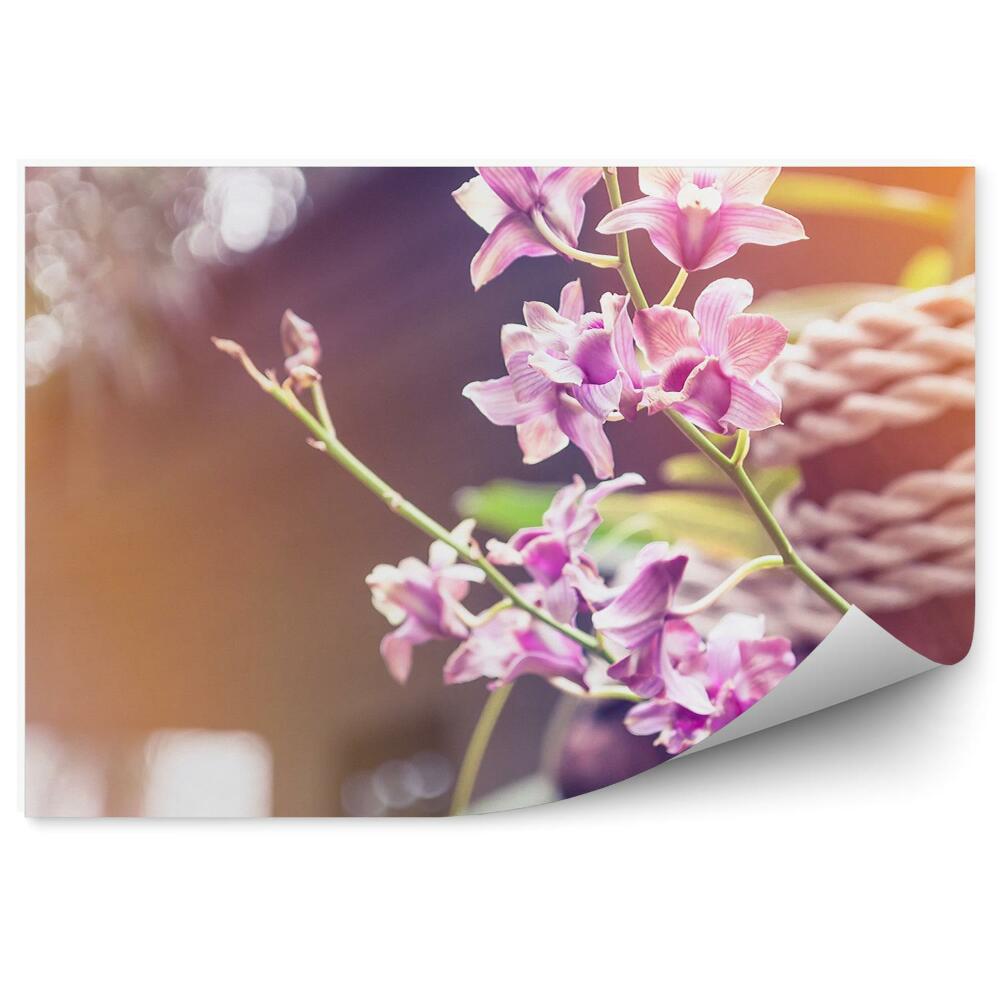 Fototapeta na ścianę Różowe kwiaty orchidei drzewo sznury