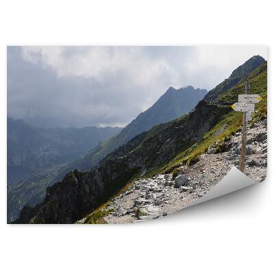 Okleina na ścianę Dolina pięciu stawów tatry góry niebo chmury znak