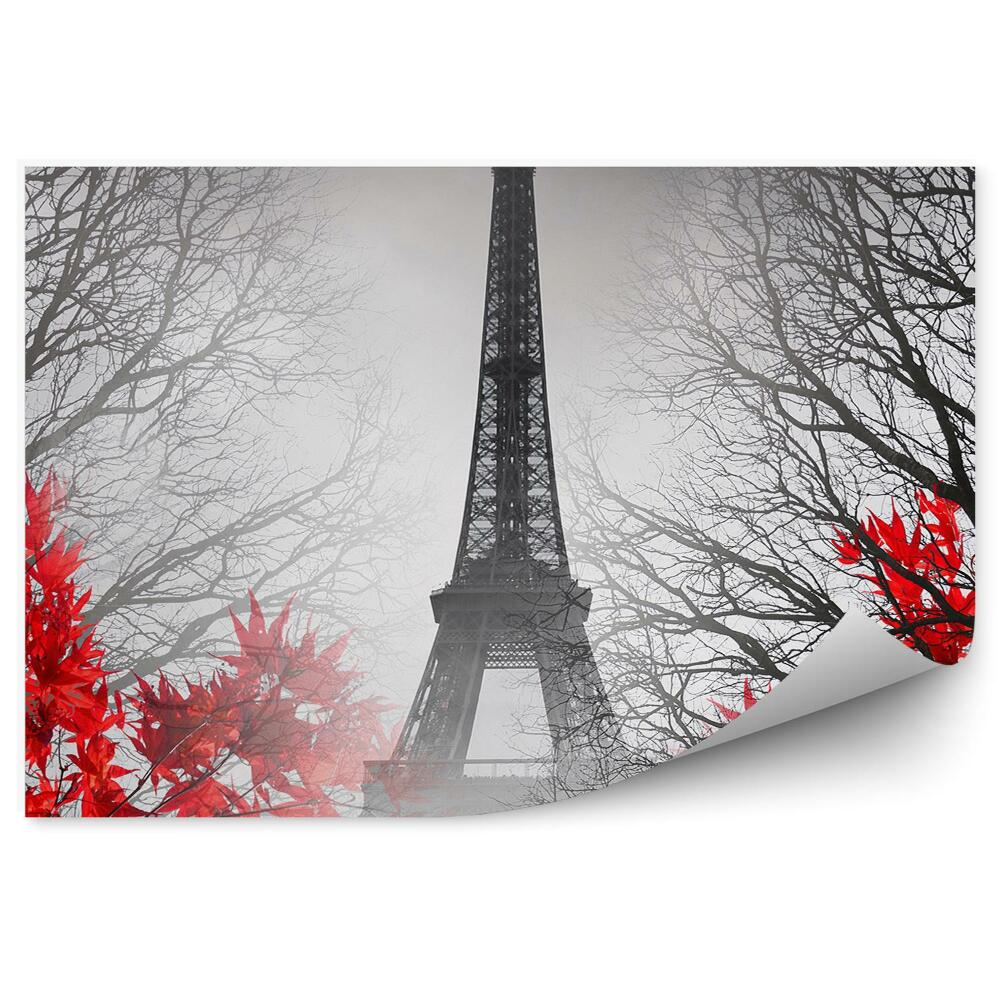 Fototapeta Wieża Eiffla Paryż drzewa liście klonu