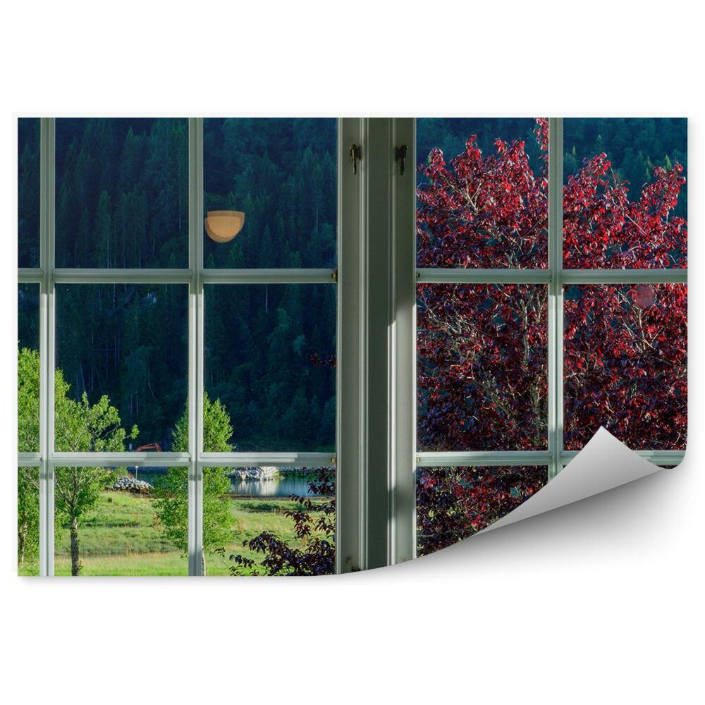 Fototapeta na ścianę Widok z okna na zieloną roślinność