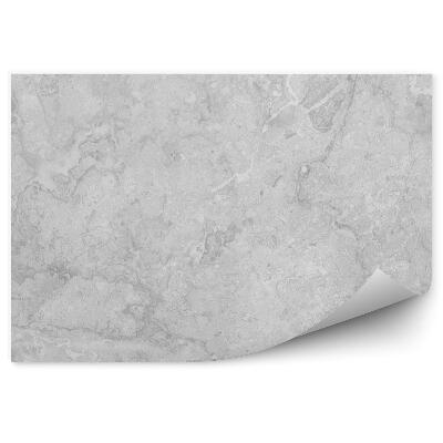 Okleina ścienna Szary marmur