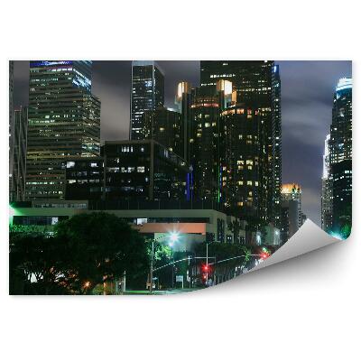 Fototapeta wieżowce ulice samochody drzewa noc księżyc