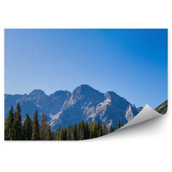 Okleina na ścianę Morskie oko góry drzewa iglaste niebo tatry