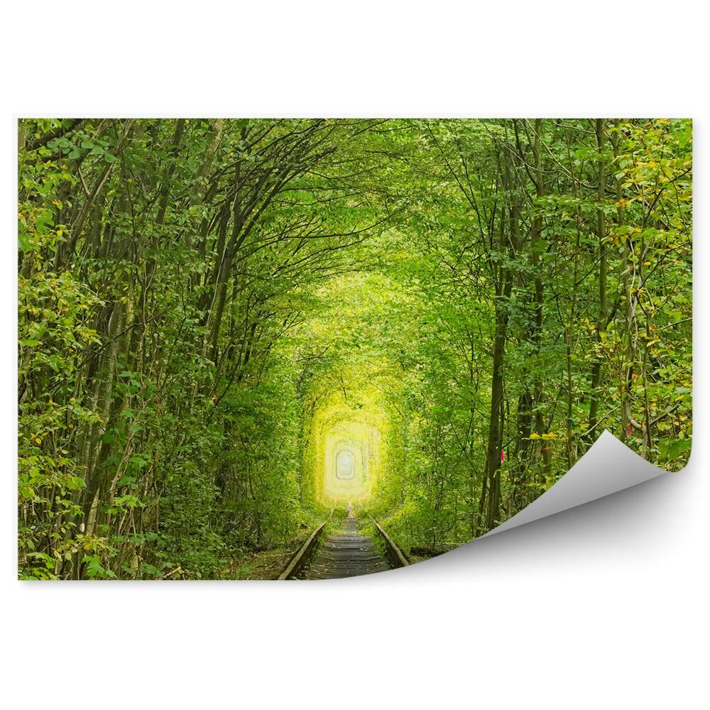 Fototapeta na ścianę Stara linia kolejowa tunel z drzew zieleń
