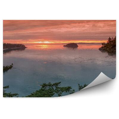 Fototapeta Zachód słońca drzewa zatoka skały