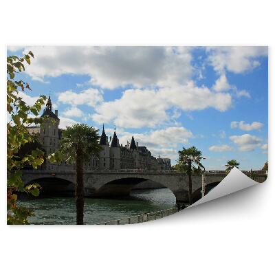 Fototapeta nabrzeża Sekwany Paryż drzewa palmy ludzie niebo chmury
