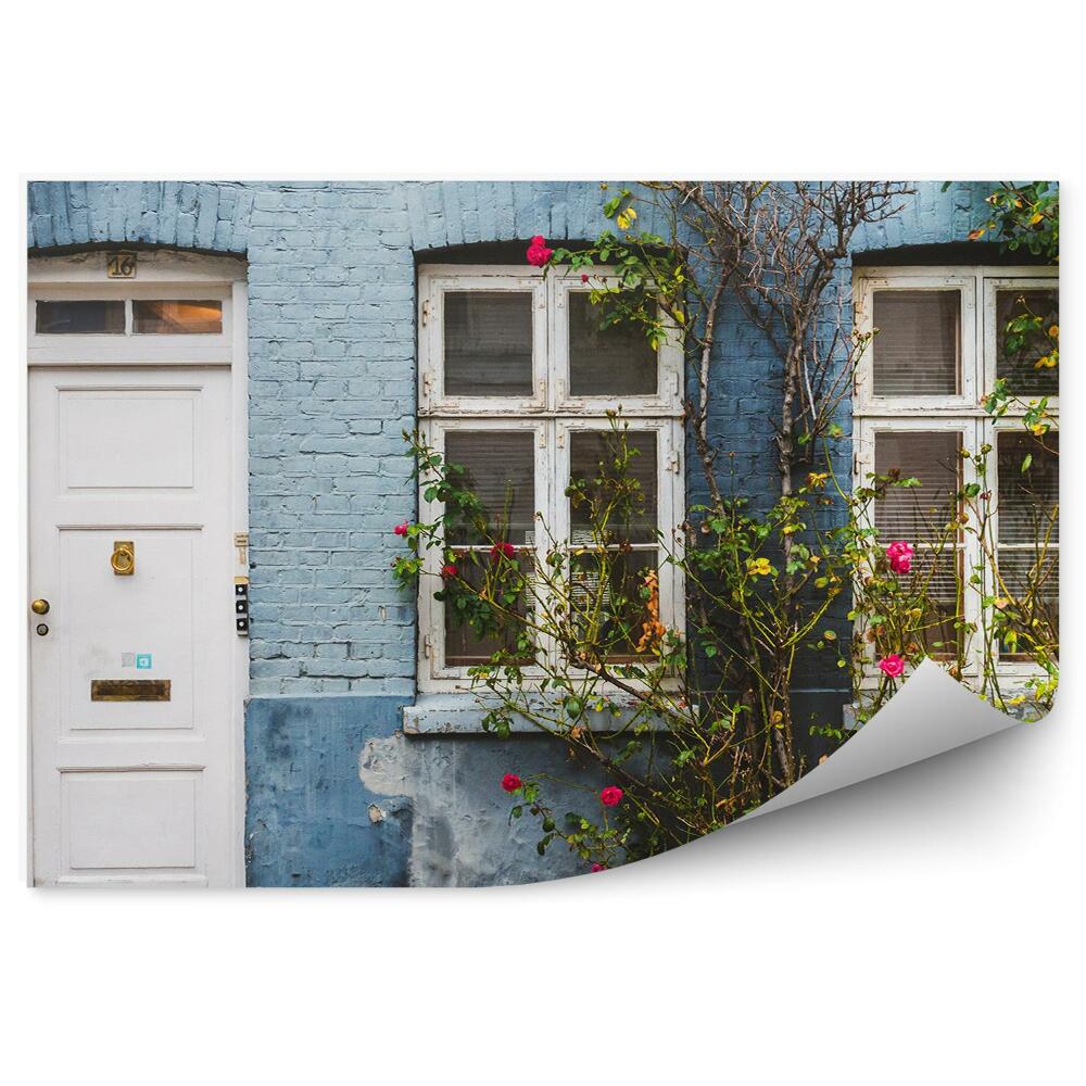 Fototapeta samoprzylepna Niebieski budynek dom porośnięty różą