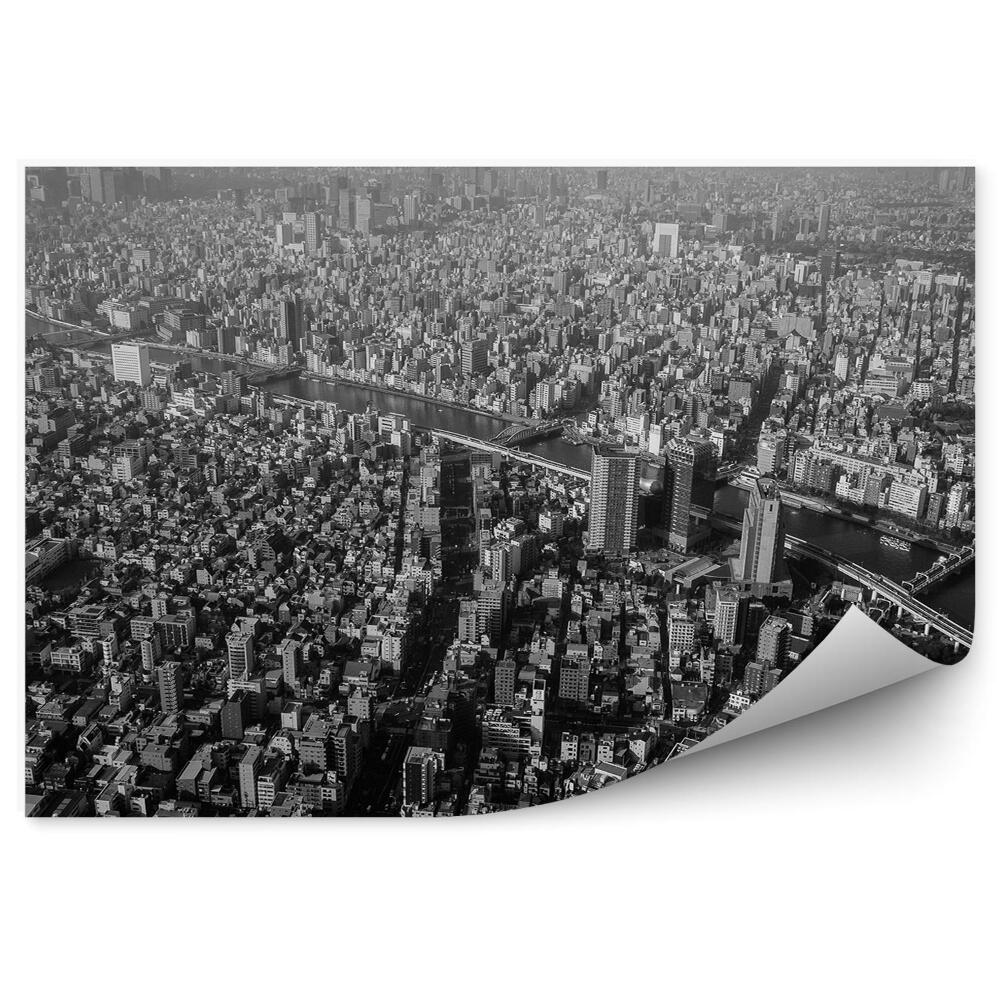 Okleina na ścianę sepia widok z lotu ptaka Tokio Japonia