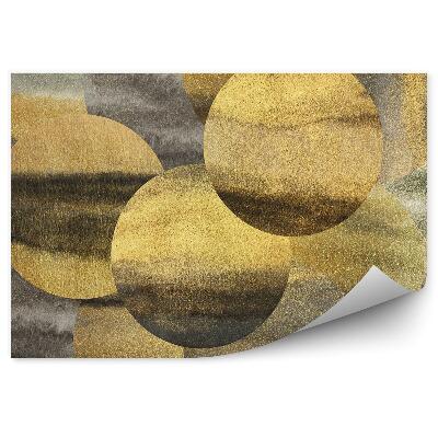 Fototapeta samoprzylepna Złote i srebrne koła