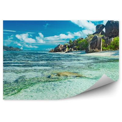 Fototapeta na ścianę skały rośliny ocean niebo chmury palmy Seszele