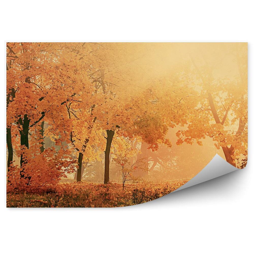 Fototapeta na ścianę Słoneczny jesienny park mgła opadające liście