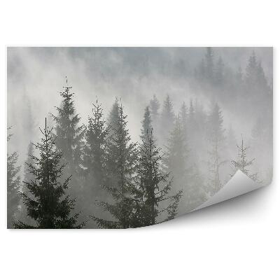 Okleina ścienna Mglisty las iglasty