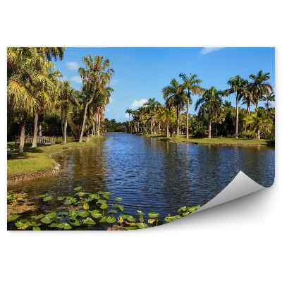 Okleina ścienna Lilia rzeka palmy trawa ławka mostek