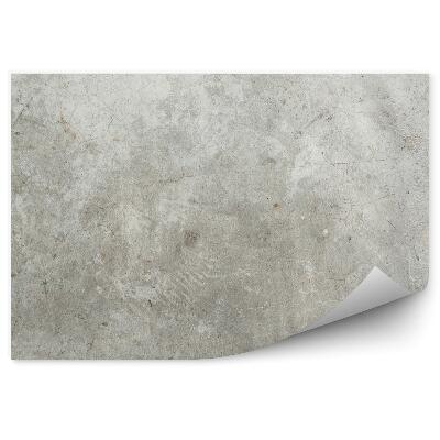 Fototapeta samoprzylepna Stary betonowy mur