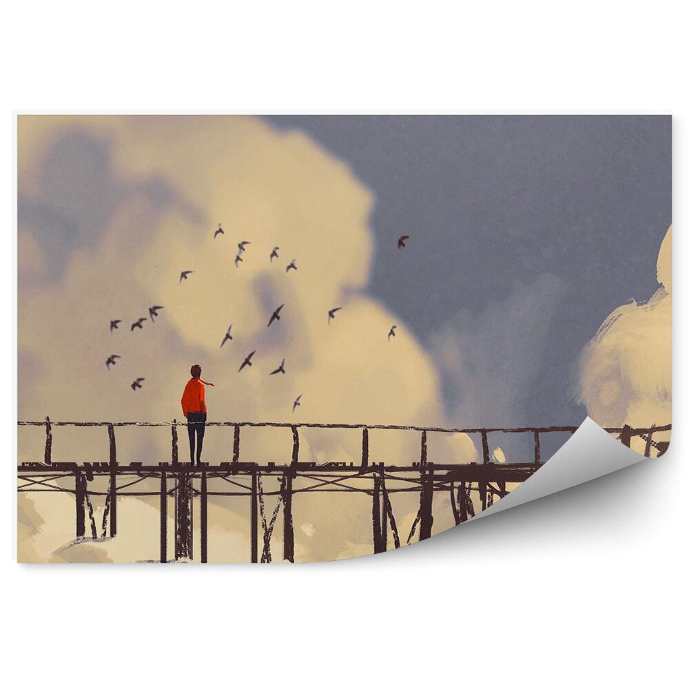 Okleina ścienna Obrazek ptaki molo chmury niebo chłopak