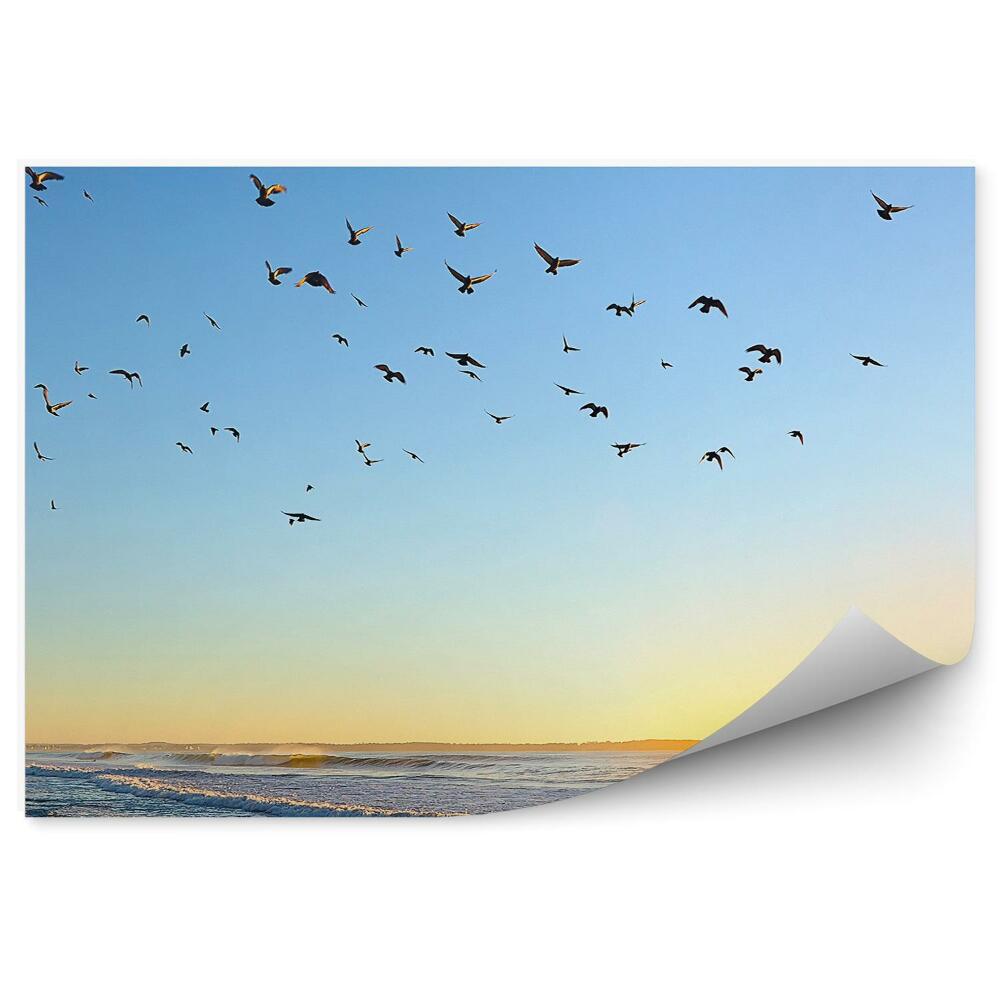 Fototapeta Wschód słońca ocean atlantycki ptaki fale plaża